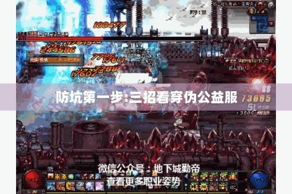 防坑第一步:三招看穿伪公益服