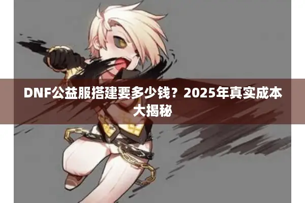 DNF公益服搭建要多少钱？2025年真实成本大揭秘