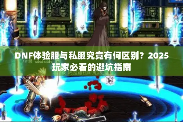 DNF体验服与私服究竟有何区别？2025玩家必看的避坑指南