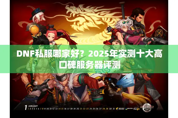 DNF私服哪家好？2025年实测十大高口碑服务器评测