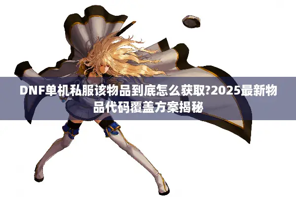 DNF单机私服该物品到底怎么获取?2025最新物品代码覆盖方案揭秘