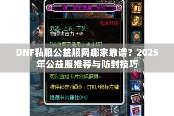DNF私服公益服网哪家靠谱？2025年公益服推荐与防封技巧