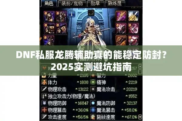 DNF私服龙腾辅助真的能稳定防封？2025实测避坑指南