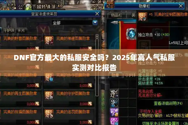 DNF官方最大的私服安全吗？2025年高人气私服实测对比报告