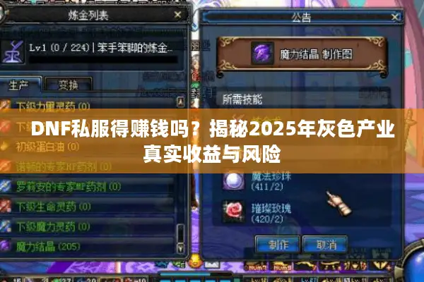 DNF私服得赚钱吗？揭秘2025年灰色产业真实收益与风险