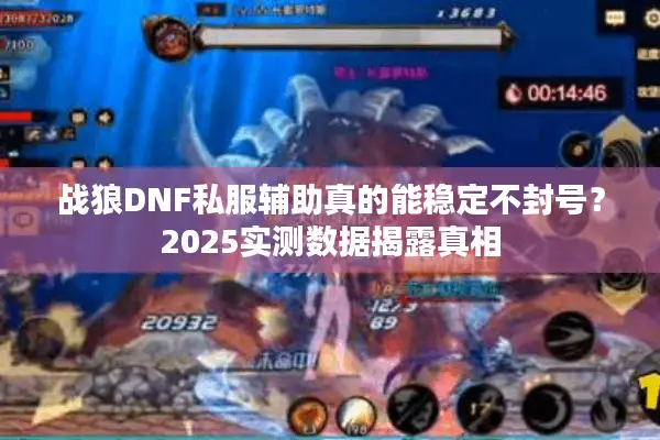战狼DNF私服辅助真的能稳定不封号？2025实测数据揭露真相