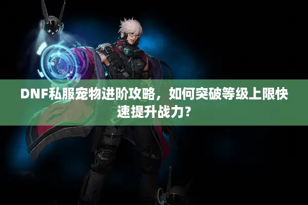 DNF私服宠物进阶攻略，如何突破等级上限快速提升战力？