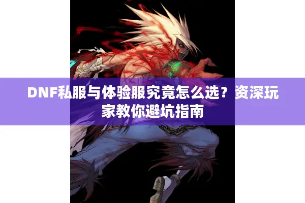 DNF私服与体验服究竟怎么选？资深玩家教你避坑指南