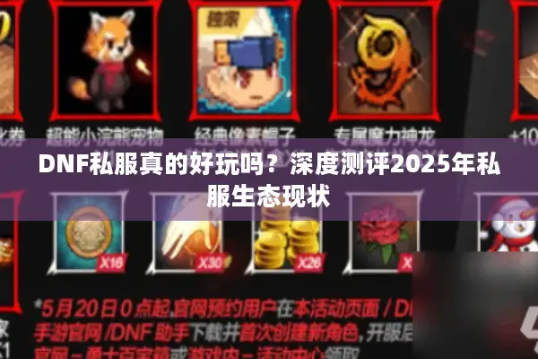 DNF私服真的好玩吗？深度测评2025年私服生态现状