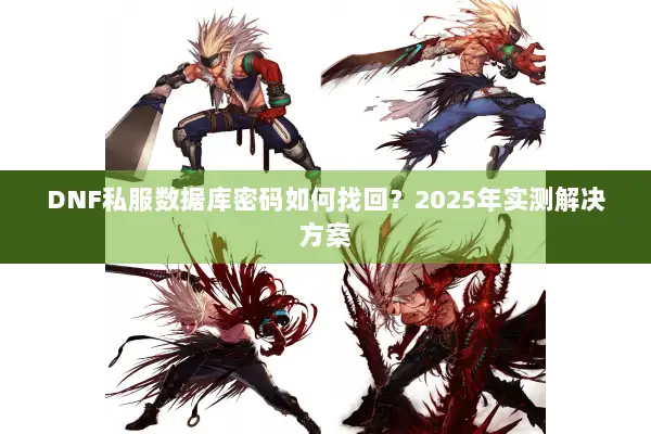DNF私服数据库密码如何找回？2025年实测解决方案