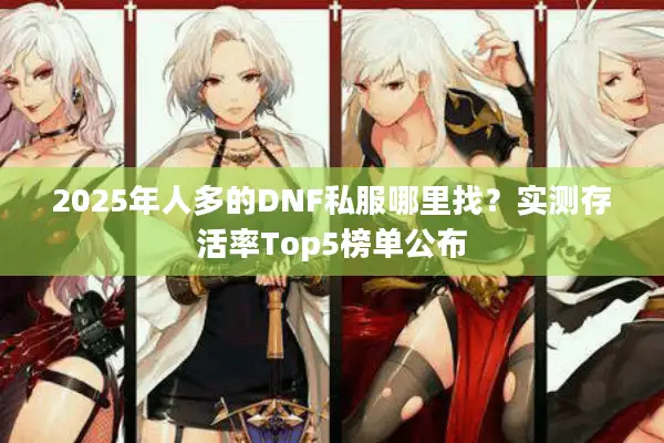 2025年人多的DNF私服哪里找？实测存活率Top5榜单公布