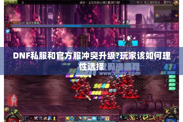 DNF私服和官方服冲突升级?玩家该如何理性选择