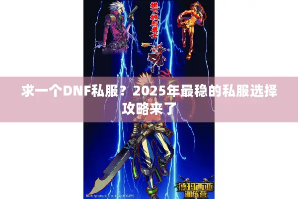 求一个DNF私服？2025年最稳的私服选择攻略来了