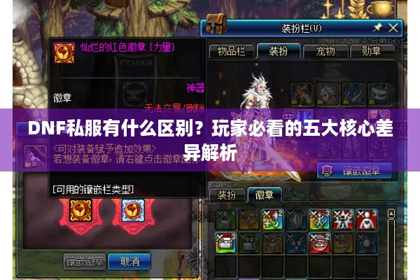 DNF私服有什么区别？玩家必看的五大核心差异解析