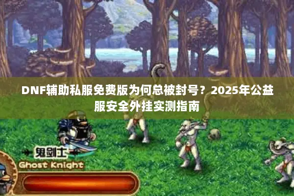DNF辅助私服免费版为何总被封号？2025年公益服安全外挂实测指南