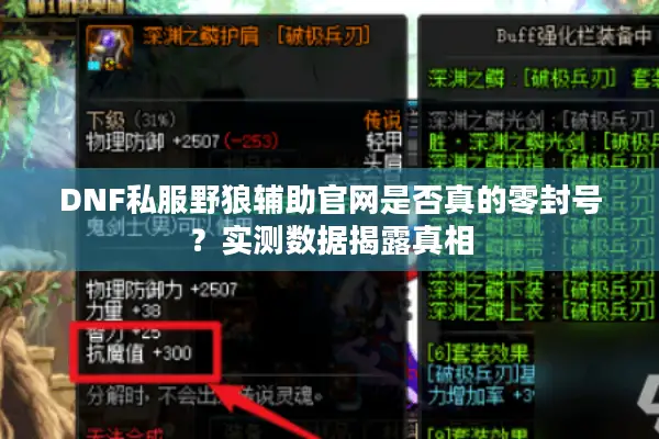 DNF私服野狼辅助官网是否真的零封号？实测数据揭露真相