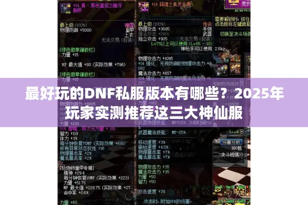 最好玩的DNF私服版本有哪些？2025年玩家实测推荐这三大神仙服