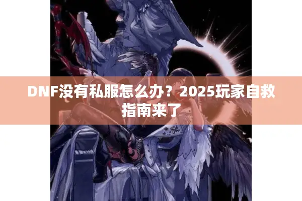 DNF没有私服怎么办？2025玩家自救指南来了