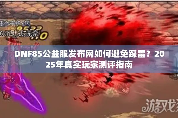 DNF85公益服发布网如何避免踩雷？2025年真实玩家测评指南