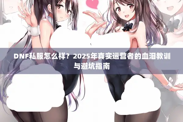 DNF私服怎么样？2025年真实运营者的血泪教训与避坑指南