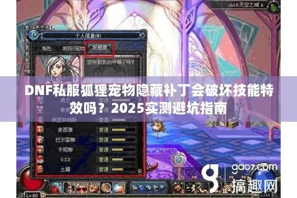 DNF私服狐狸宠物隐藏补丁会破坏技能特效吗？2025实测避坑指南