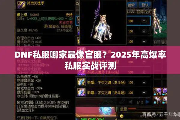 DNF私服哪家最像官服？2025年高爆率私服实战评测