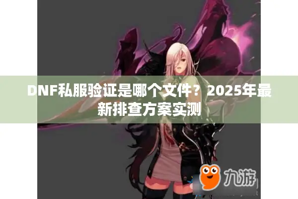 DNF私服验证是哪个文件？2025年最新排查方案实测