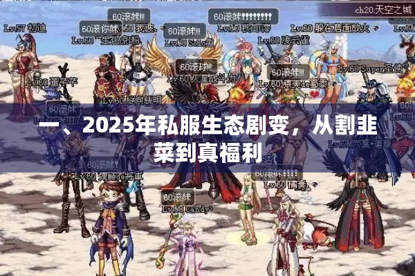 一、2025年私服生态剧变，从割韭菜到真福利
