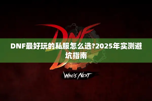 DNF最好玩的私服怎么选?2025年实测避坑指南