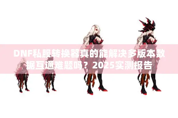 DNF私服转换器真的能解决多版本数据互通难题吗？2025实测报告