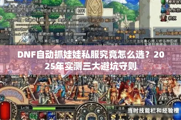 DNF自动抓娃娃私服究竟怎么选？2025年实测三大避坑守则