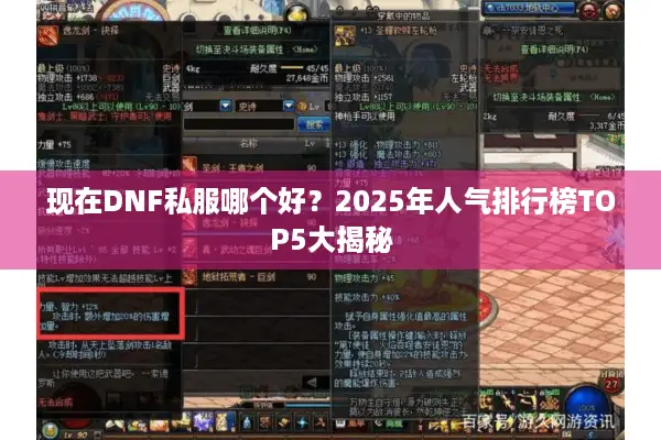现在DNF私服哪个好？2025年人气排行榜TOP5大揭秘