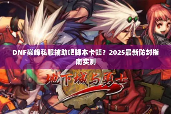 DNF巅峰私服辅助吧脚本卡顿？2025最新防封指南实测