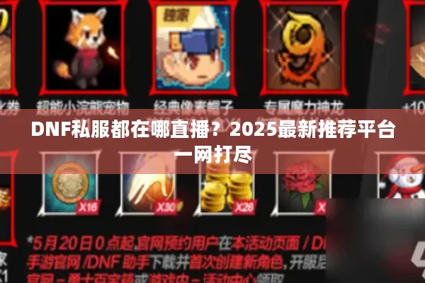 DNF私服都在哪直播？2025最新推荐平台一网打尽