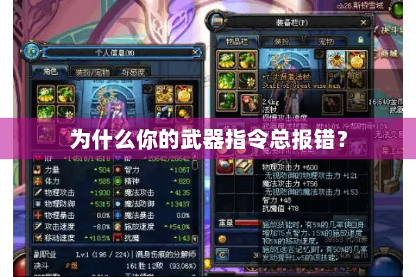 为什么你的武器指令总报错？