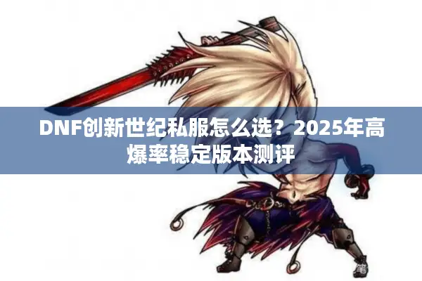 DNF创新世纪私服怎么选？2025年高爆率稳定版本测评