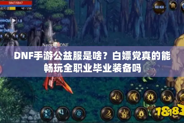 DNF手游公益服是啥？白嫖党真的能畅玩全职业毕业装备吗
