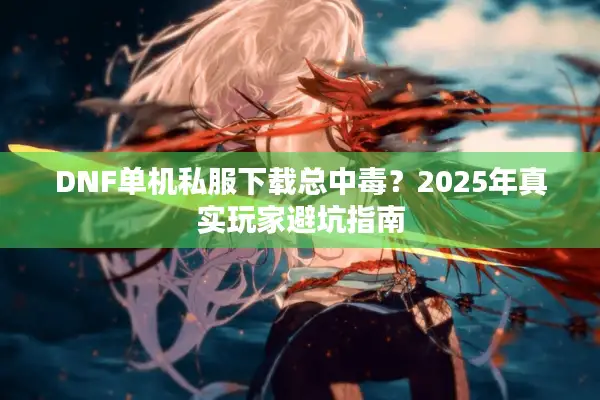 DNF单机私服下载总中毒？2025年真实玩家避坑指南