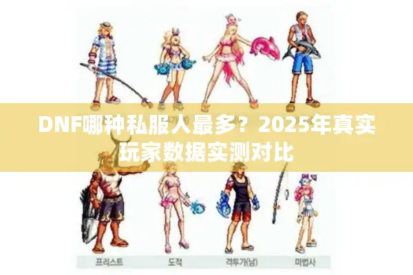 DNF哪种私服人最多？2025年真实玩家数据实测对比