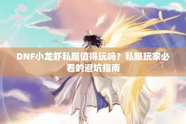 DNF小龙虾私服值得玩吗？私服玩家必看的避坑指南