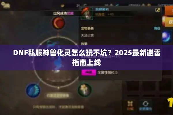 DNF私服神兽化灵怎么玩不坑？2025最新避雷指南上线