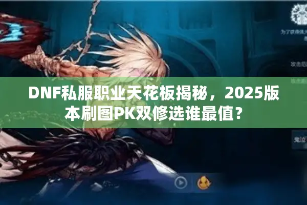 DNF私服职业天花板揭秘，2025版本刷图PK双修选谁最值？