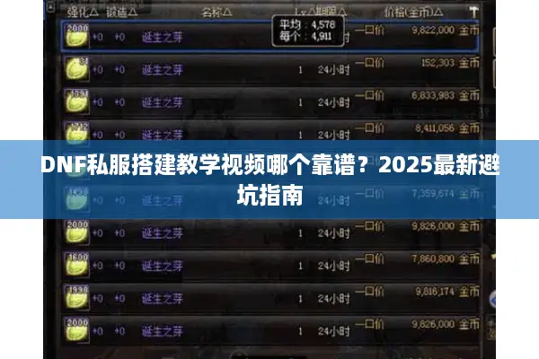 DNF私服搭建教学视频哪个靠谱？2025最新避坑指南