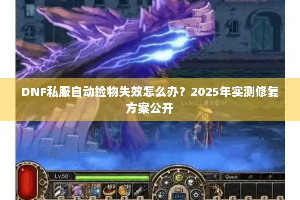 DNF私服自动捡物失效怎么办？2025年实测修复方案公开