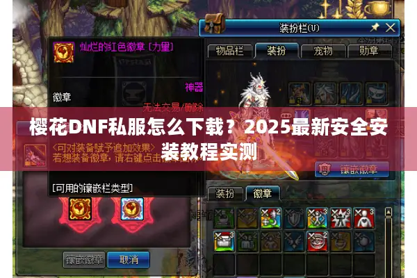 樱花DNF私服怎么下载？2025最新安全安装教程实测