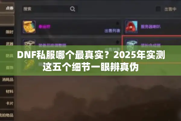 DNF私服哪个最真实？2025年实测这五个细节一眼辨真伪