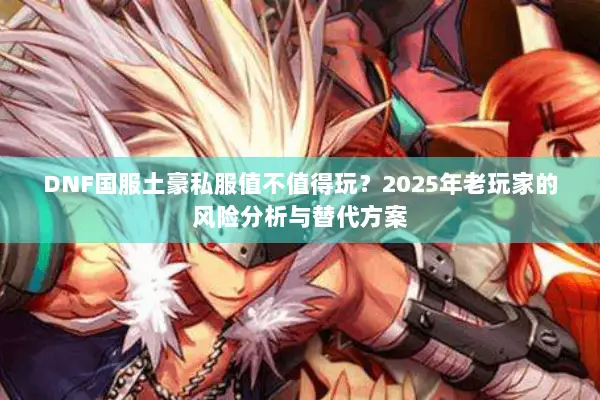 DNF国服土豪私服值不值得玩？2025年老玩家的风险分析与替代方案