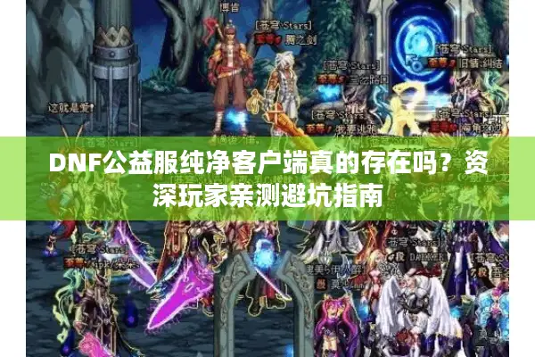 DNF公益服纯净客户端真的存在吗？资深玩家亲测避坑指南