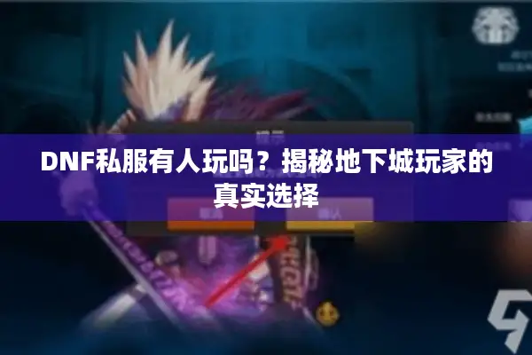 DNF私服有人玩吗？揭秘地下城玩家的真实选择