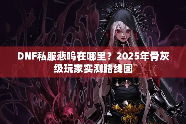 DNF私服悲鸣在哪里？2025年骨灰级玩家实测路线图